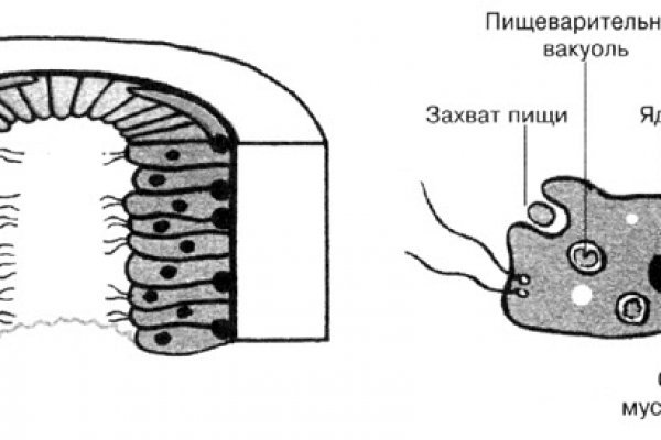 Кракен дарк нет