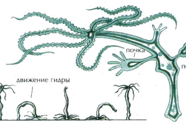 Ошибка на сервере кракен