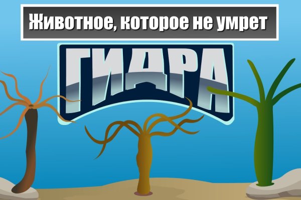 Как выводить деньги с кракена