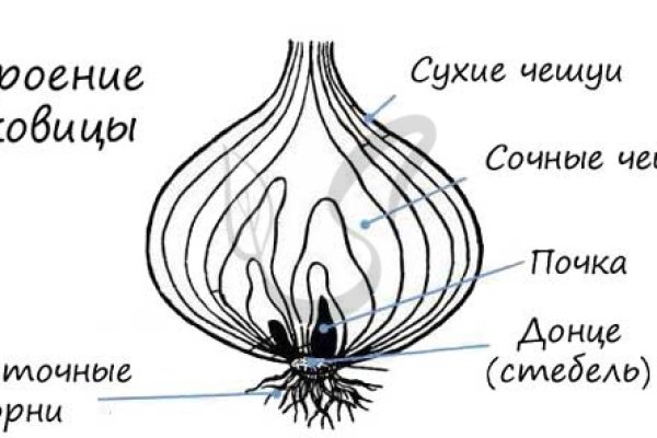 Переход на кракен