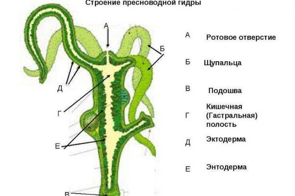 Кракен это наркотики